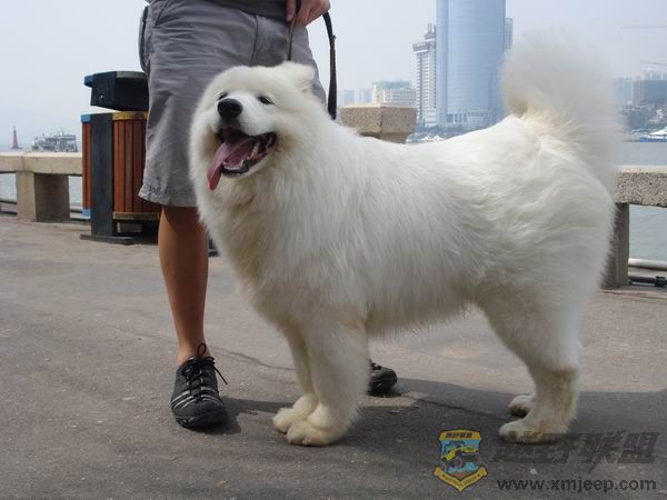С DSC08055.jpg