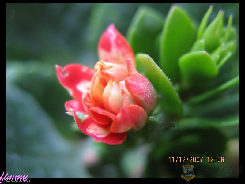 IMG_7612.jpg
