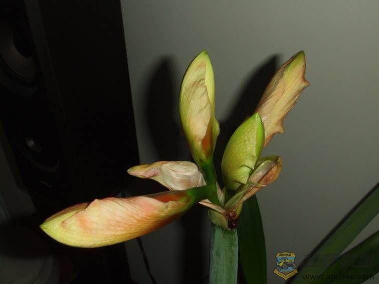 image004.jpg