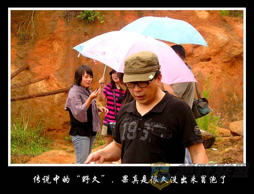 DSCN6584.jpg