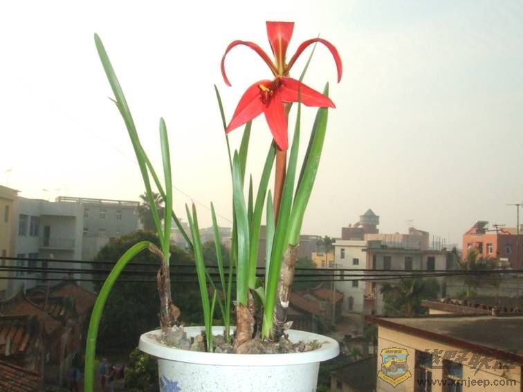 image002.jpg