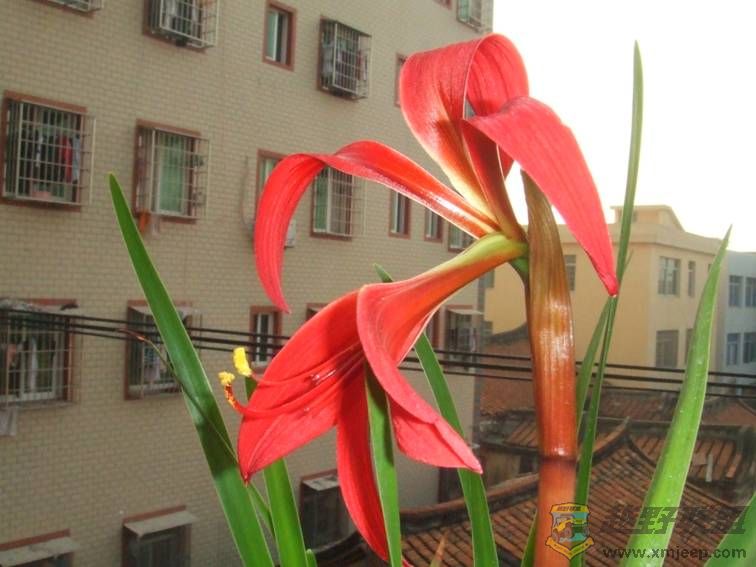 image006.jpg
