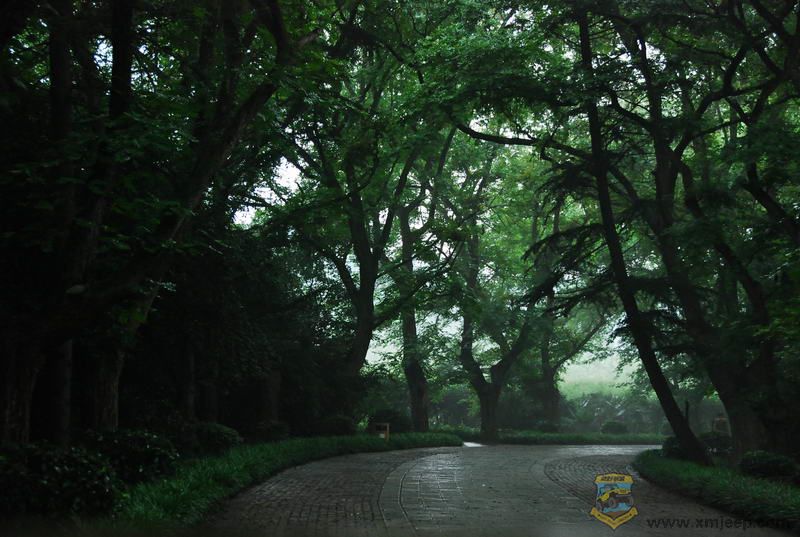 DSC_0544.JPG