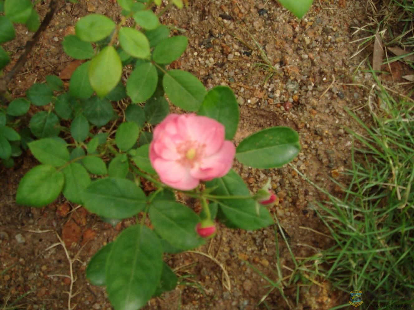 Ƭ 031.jpg