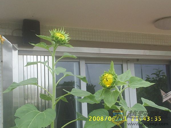 S4010008.JPG
