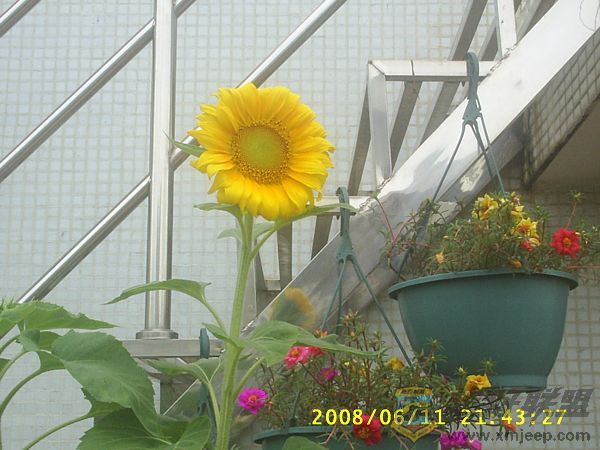 S4010007.JPG