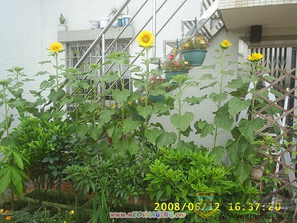 S4010027.JPG