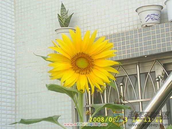 S4010041.JPG