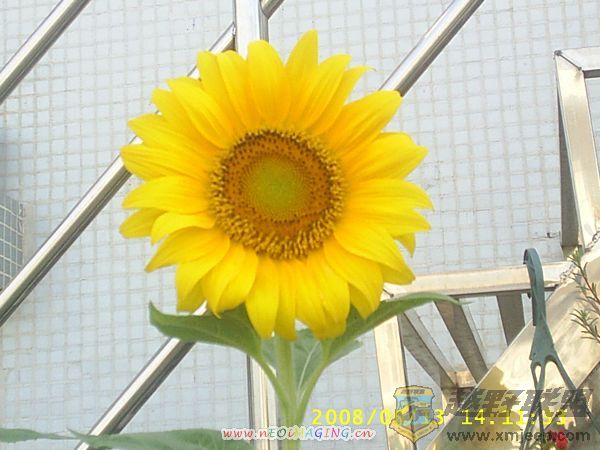 S4010042.JPG