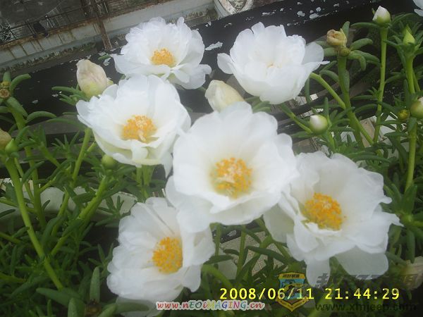 S4010013.JPG