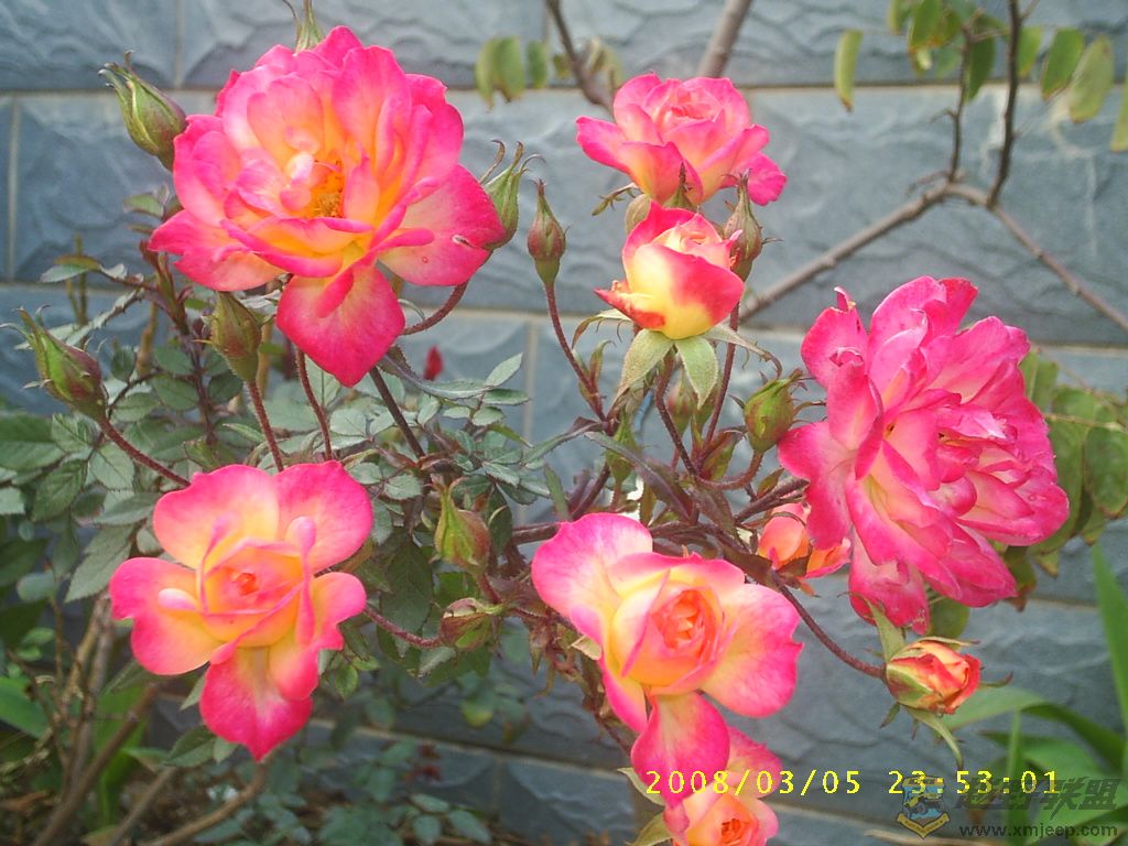 ¼024.JPG