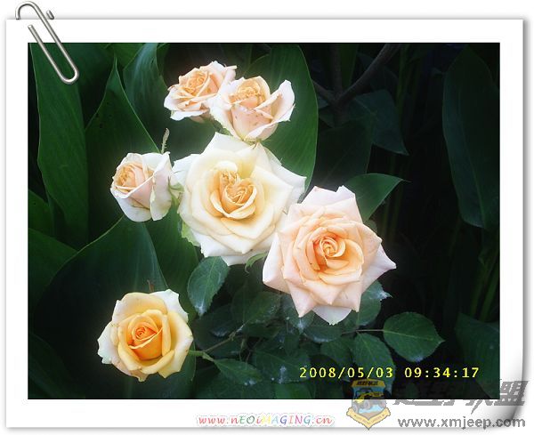 ¼0098.JPG