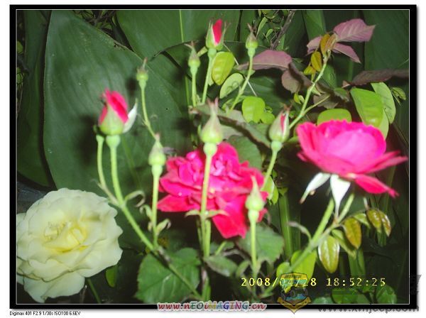 ¼0021.JPG