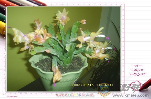 зצ0028.JPG