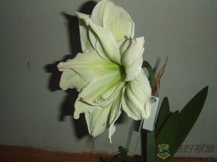 image002.jpg