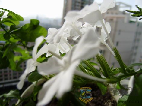 P6190044_resize.JPG