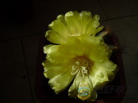 P6190036_resize.JPG