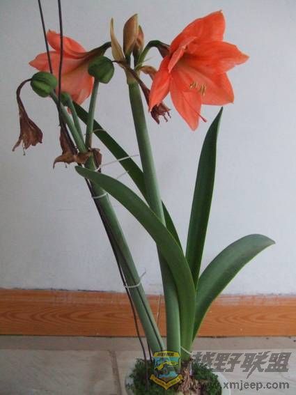 image024.jpg