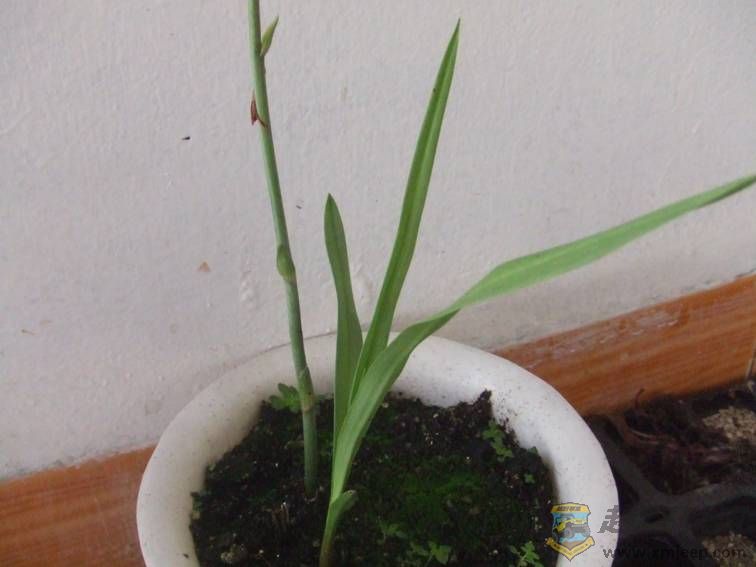 image010.jpg