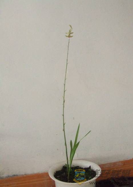 image012.jpg