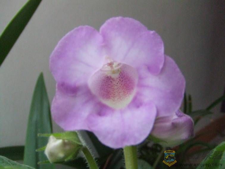 image002.jpg