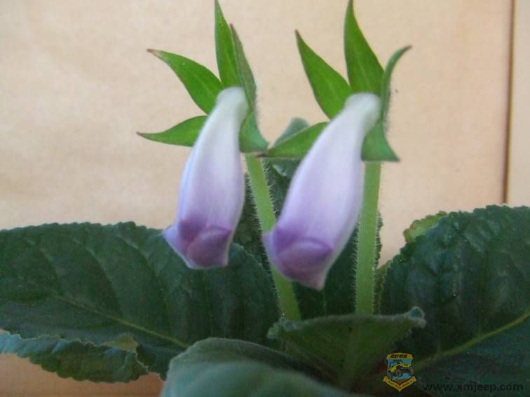 image002.jpg
