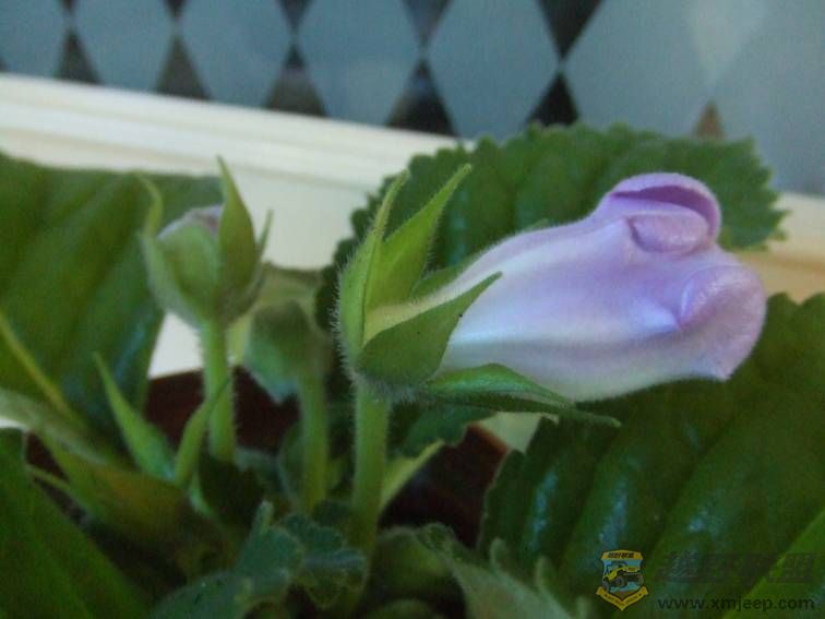 image010.jpg