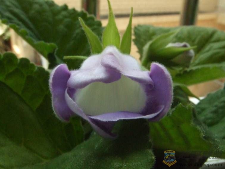 image012.jpg