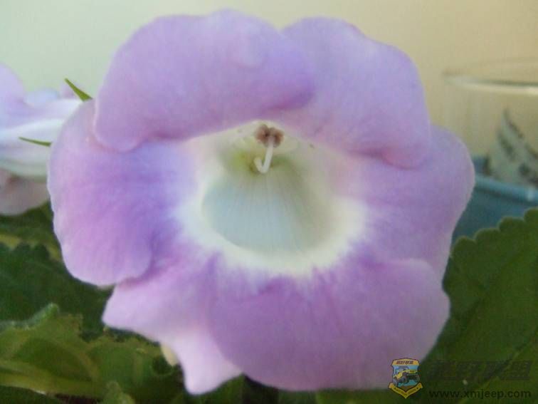image014.jpg