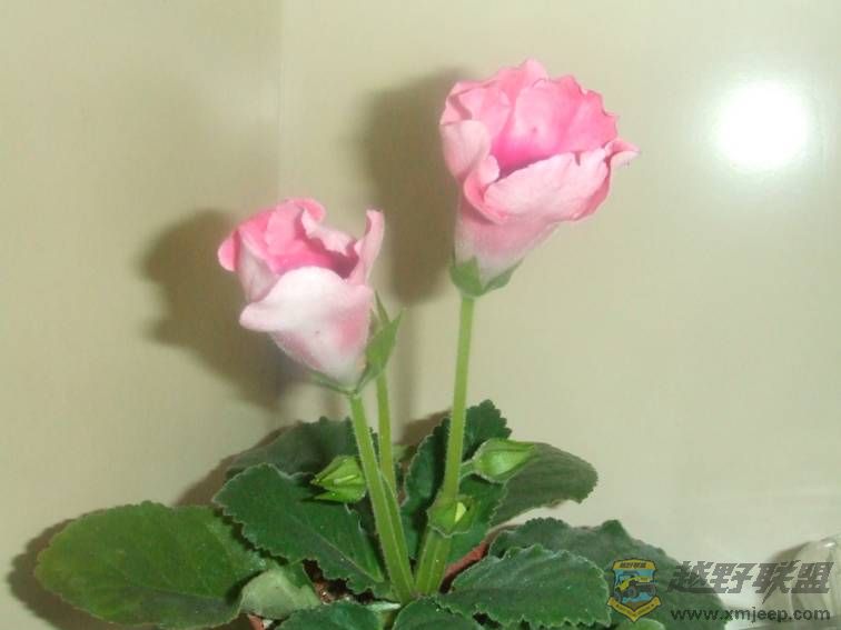 image006.jpg