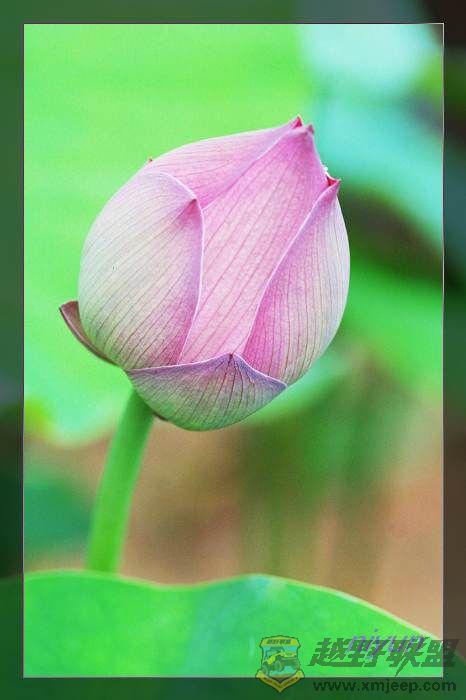 nEO_IMG_IMG_5334.jpg