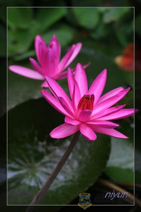 nEO_IMG_IMG_5391.jpg