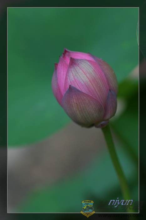nEO_IMG_IMG_5393.jpg