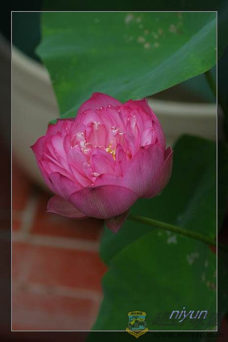 nEO_IMG_IMG_5394.jpg