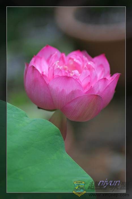 nEO_IMG_IMG_5399.jpg