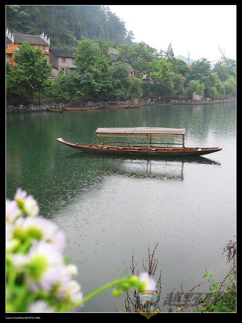 IMG_9780.jpg