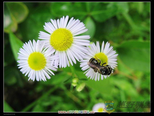IMG_0199.jpg