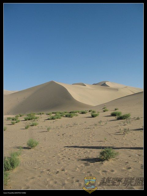 IMG_5560.jpg