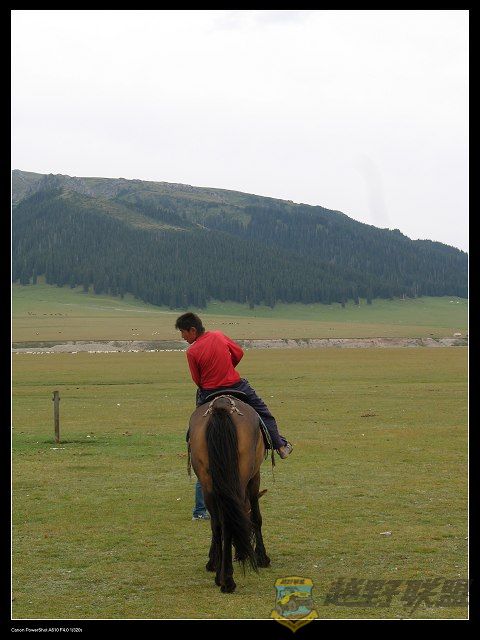 IMG_6145.jpg