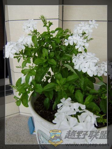 P7160003_resize.JPG