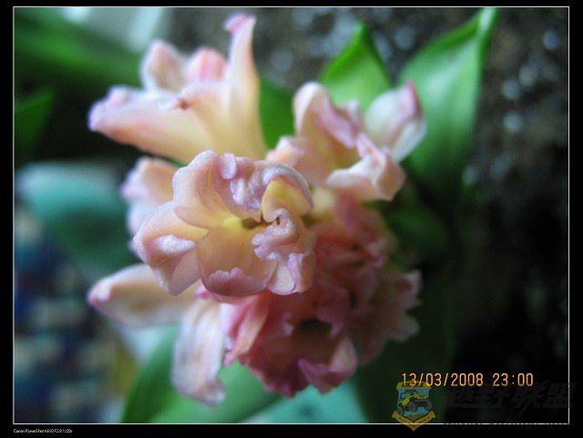 IMG_8179.jpg