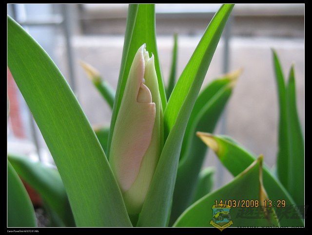 IMG_8189.jpg