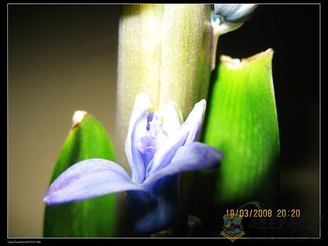 IMG_8362.jpg