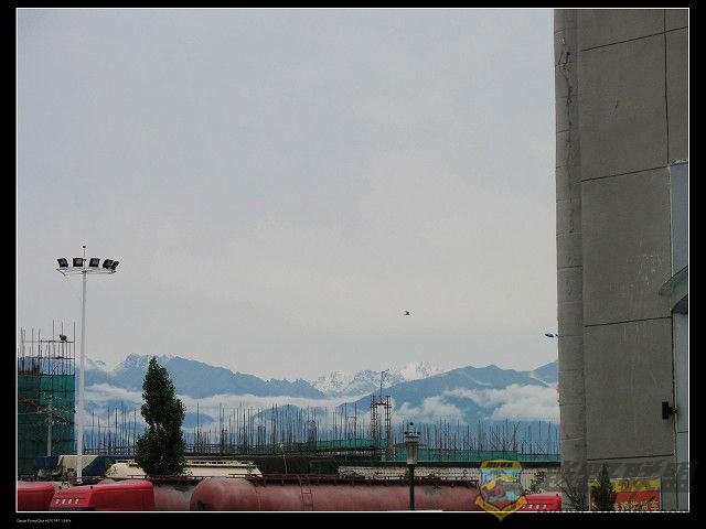 IMG_6214.jpg