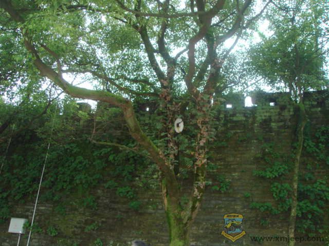 DSC05288.JPG