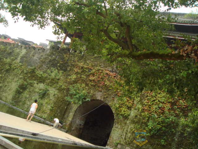 DSC05290.JPG