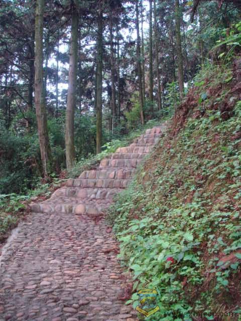 DSC05309.JPG