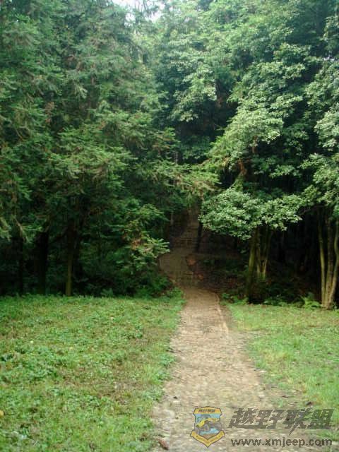 DSC05313.JPG