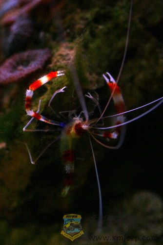 IMG_0421.jpg