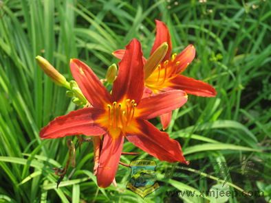 Ƭ 028_resize.jpg